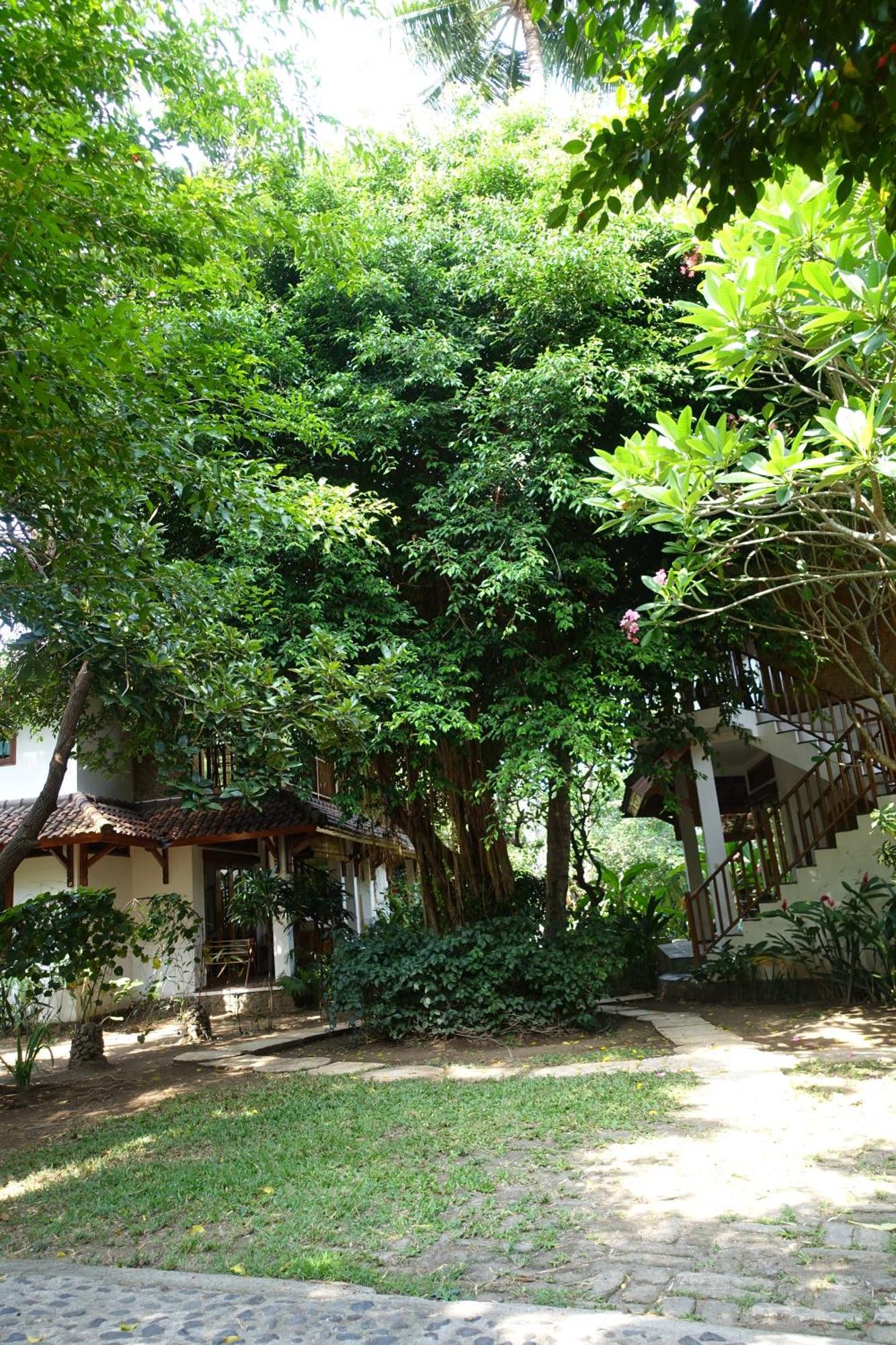 Villa Jati Mangsit เซงกีกี ภายนอก รูปภาพ